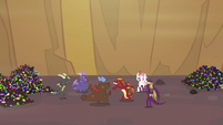 A group of teenage dragons playing together.