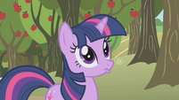 Twilight Sparkle mule S01E04