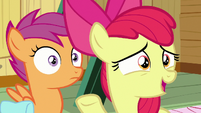 Apple Bloom "you asked Rarity" S9E22