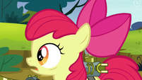 Apple Bloom viendo hacia Sweet Apple Acres Un Descanso Agotador