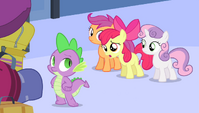 Apple Bloom worrying S4E24