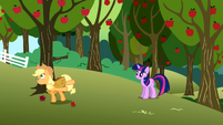 After Twilight's failed attempt to communicate with AJ...