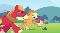 Applejack, Big McIntosh, Apple Bloom and Winona running S3E03