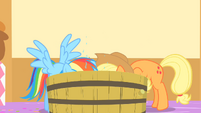 Applejack and Rainbow Dash dunking their head into the water S1E25