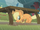 Applejack dry S01E08.png