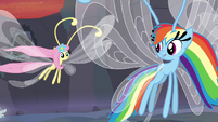 Breezie Fluttershy and Rainbow flying away S4E16