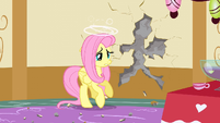 Poor Fluttershy.