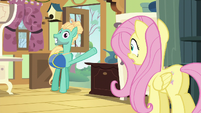 Fluttershy looks at Zephyr Breeze in shock S6E11