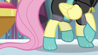 Fluttershy steps onto the trapdoor S9E4