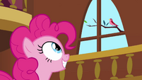 Pinkie Pie clone notices the bird S3E3