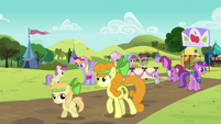 Ponies at the Sisterhooves Social S5E17