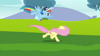 Rainbow Dash trying to convince Fluttershy S2E22