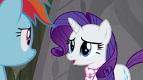 Rarity thanking Rainbow Dash S8E17