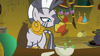 Zecora Adding Ingredient S2E6