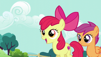 The One Where Pinkie Pie Knows