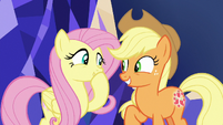 Fluttershy and AJ excited for their quest S8E23