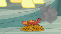 Gecko lies on top of treats and breathes smoke S9E18