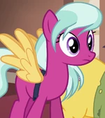 Ocean Spray ID S6E13