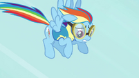 Rainbow Dash slowing down S3E7