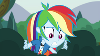 Rainbow Dash worriedly looks down EG3