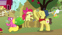 Sweet Apple Admirer drinking cider S7E14