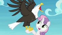 Sweetie Belle with an eagle on her hoof S8E6