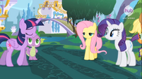 Twilight, Spike, Fluttershy, Applejack y Rarity