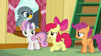 Apple Bloom "hold on just a hoofstep" S6E19