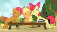 Applejack, Apple Bloom and Babs smiling S03E08