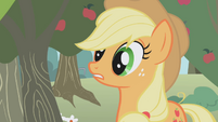 Applejack wakes up S1E04