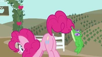 Latch on, Gummy!