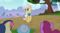 This is the Mayor of Ponyville.