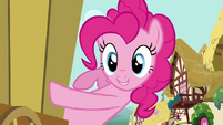 Pinkie Pie D Stands For Donkey S02E18