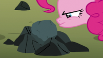 Pinkie Pie looking closely at the rock S8E3