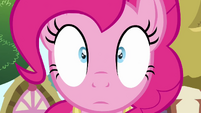 Pinkie Pie ringing S3E3