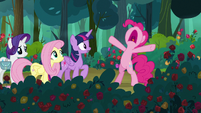 Pinkie Pie stops her friends from going further S8E13