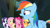 "But the Radiant Shield of Razdon is vulnerable to the dark enchantment of the Rings of Scorchero!" (PInkie's nodding her head as if she actually knows what they're talking about.)