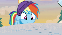 Rainbow Dash following winterchilla tracks MLPBGE