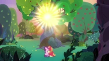 Sun shining through the tree canopy S9E23