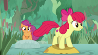 Apple Bloom jumping across a pond S9E22