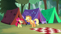 Applejack -Winsome Falls by tomorrow!- S7E16