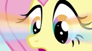 Fluttershy se da cuenta de que la cosas más amables no siempre son las más útiles.