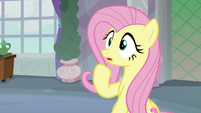 Fluttershy very surprised S8E9