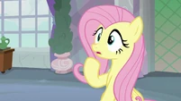 Fluttershy very surprised S8E9.png (858 KB)