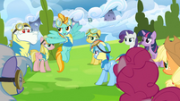 The Wonderbolts don't seem to think so!