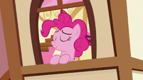 Pinkie Pie "I have a very detailed" S7E23