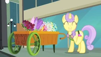 Another one? Geez, Rarity, how many Chaos Emeralds do you have?