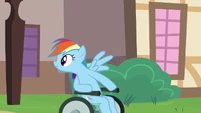 Rainbow Dash Wheelchair Outside S2E16