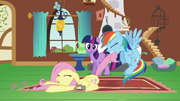 Rainbow Dash dragging Fluttershy S2E21