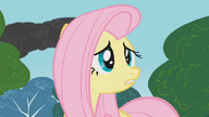 S01E07 Fluttershy próbuje ostrzec Pinkie